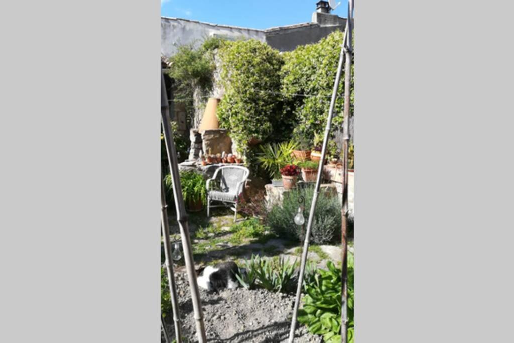 Gite La Remise, Maison Avec Jardin Lagrasse Εξωτερικό φωτογραφία